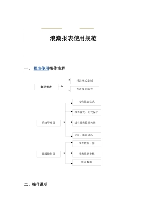 浪潮报表使用规范概述