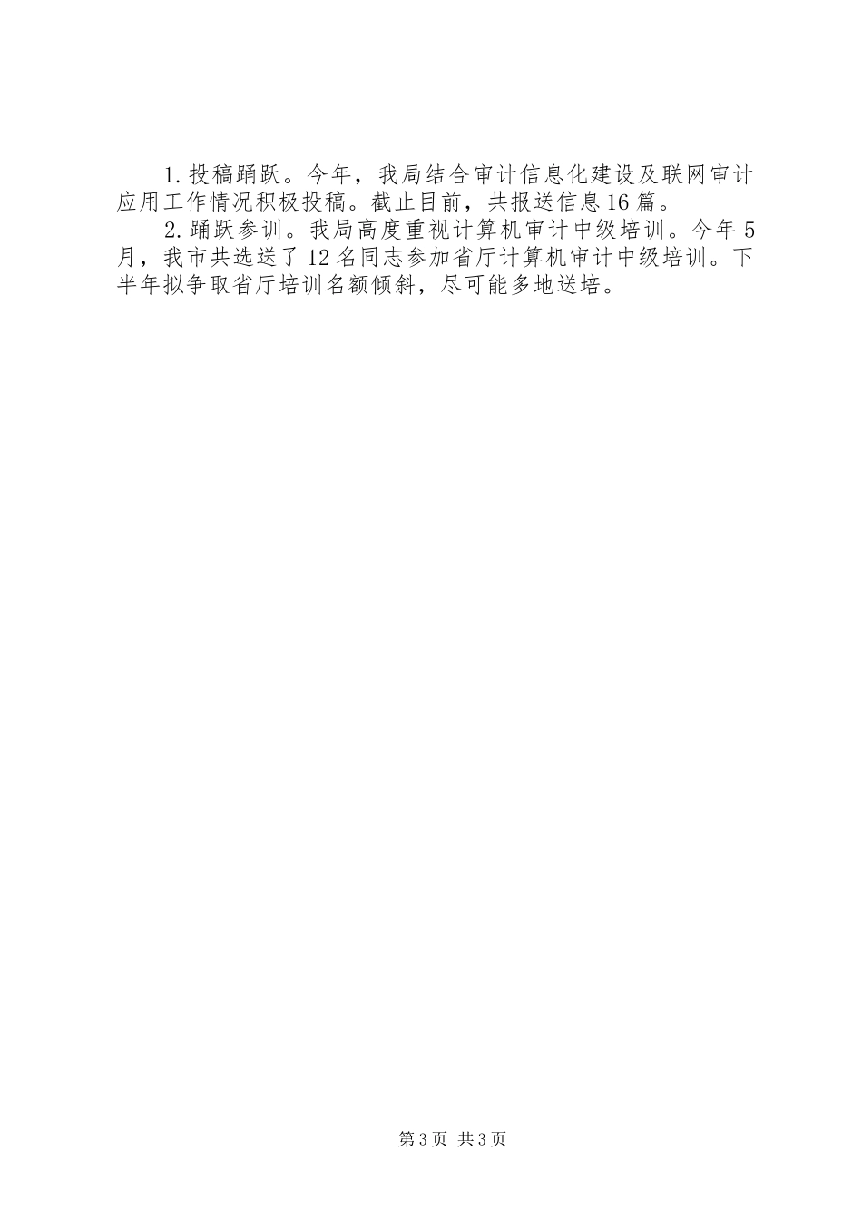 XX年审计信息化建设工作报告_第3页