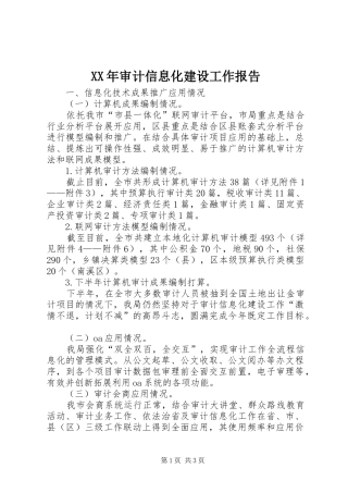 XX年审计信息化建设工作报告
