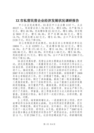 XX市私营民营企业经济发展状况调研报告