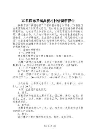 XX县区慈圣镇苏楼村村情调研报告