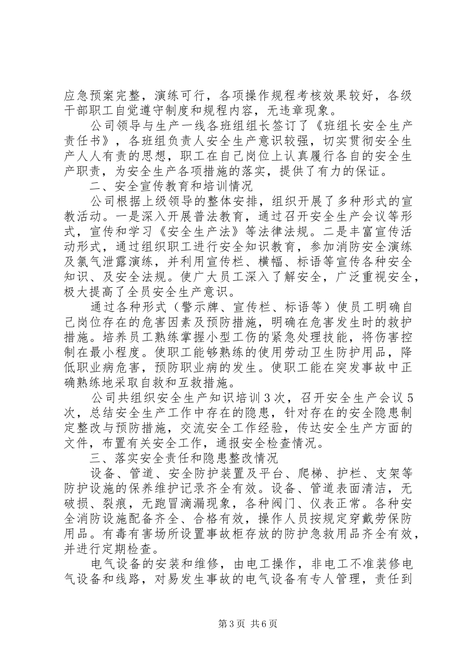 安全生产自查报告书_第3页