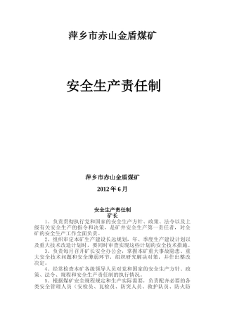 金盾煤矿安全生产责任制3