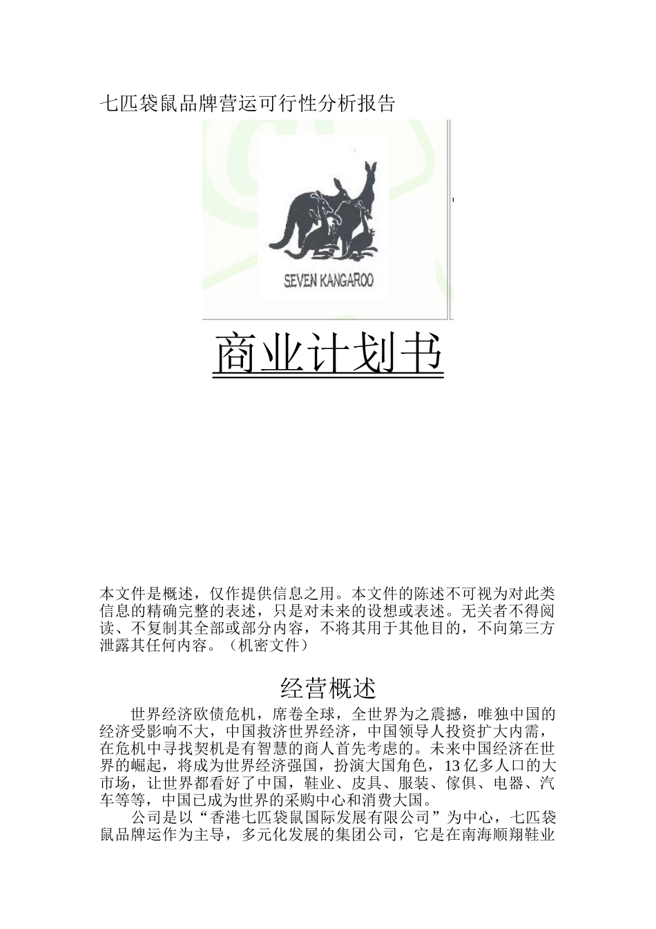 七匹袋鼠品牌运作可行性分析报告_第1页
