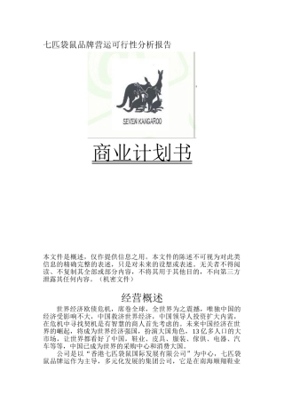 七匹袋鼠品牌运作可行性分析报告