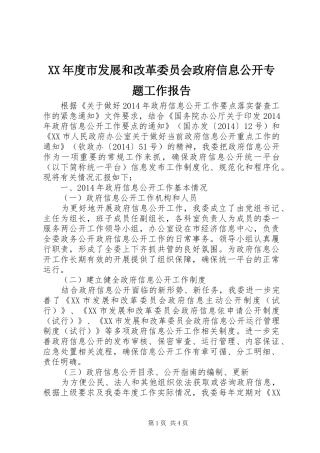 XX年度市发展和改革委员会政府信息公开专题工作报告