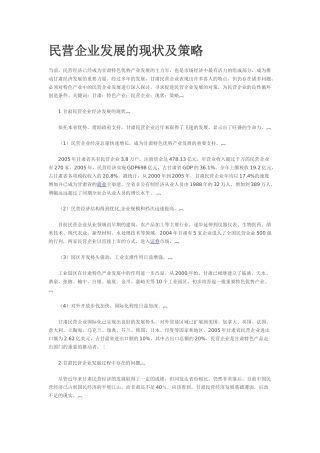 民营企业发展的现状及策略