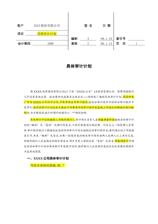 具体审计计划模板-天健