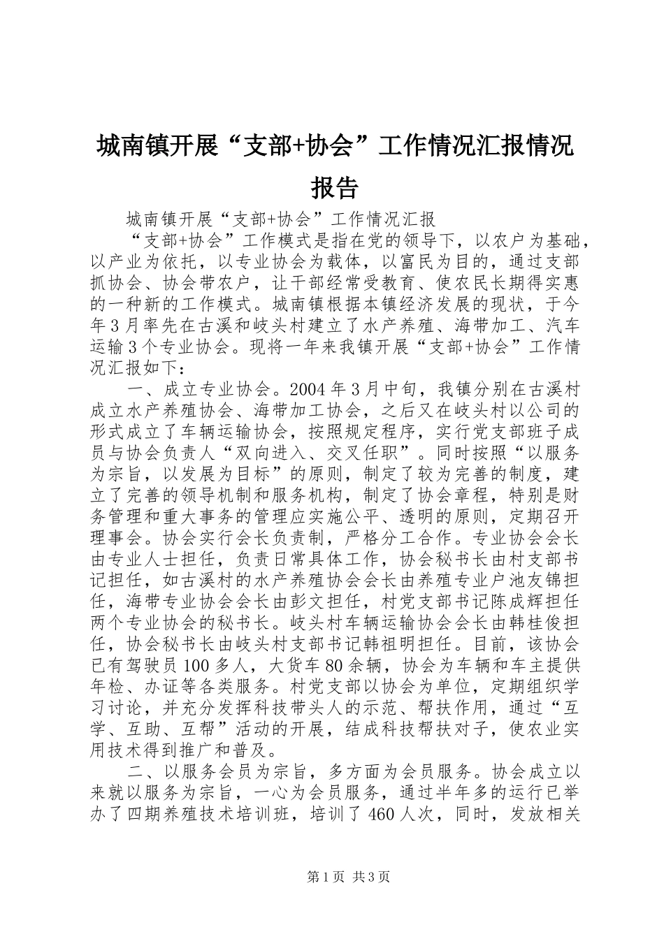城南镇开展“支部+协会”工作情况汇报情况报告_第1页