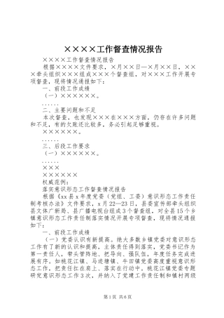 ××××工作督查情况报告