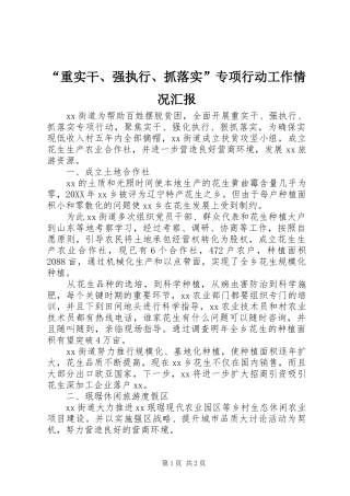 “重实干、强执行、抓落实”专项行动工作情况汇报