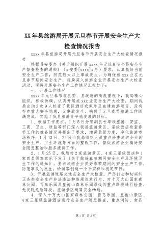 XX年县旅游局开展元旦春节开展安全生产大检查情况报告