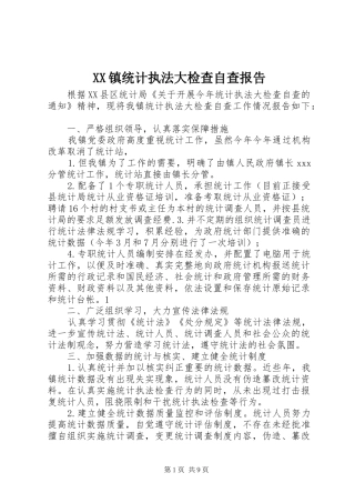 XX镇统计执法大检查自查报告