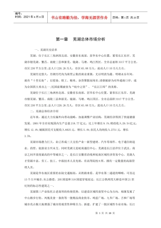 芜湖酒店项目分析报告(19P)