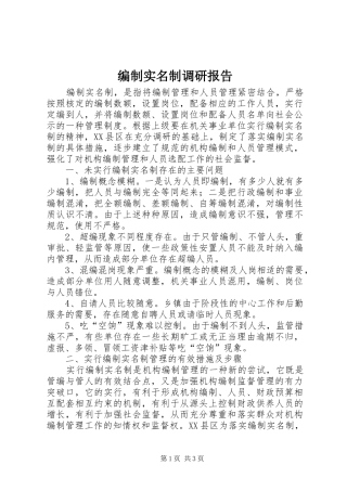 编制实名制调研报告