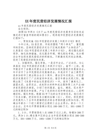 XX年度民营经济发展情况汇报