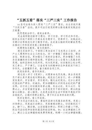 “五抓五看”落实“三严三实”工作报告