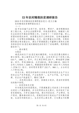 XX年农村精准扶贫调研报告