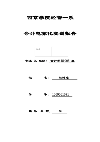 会计电算化实训报告