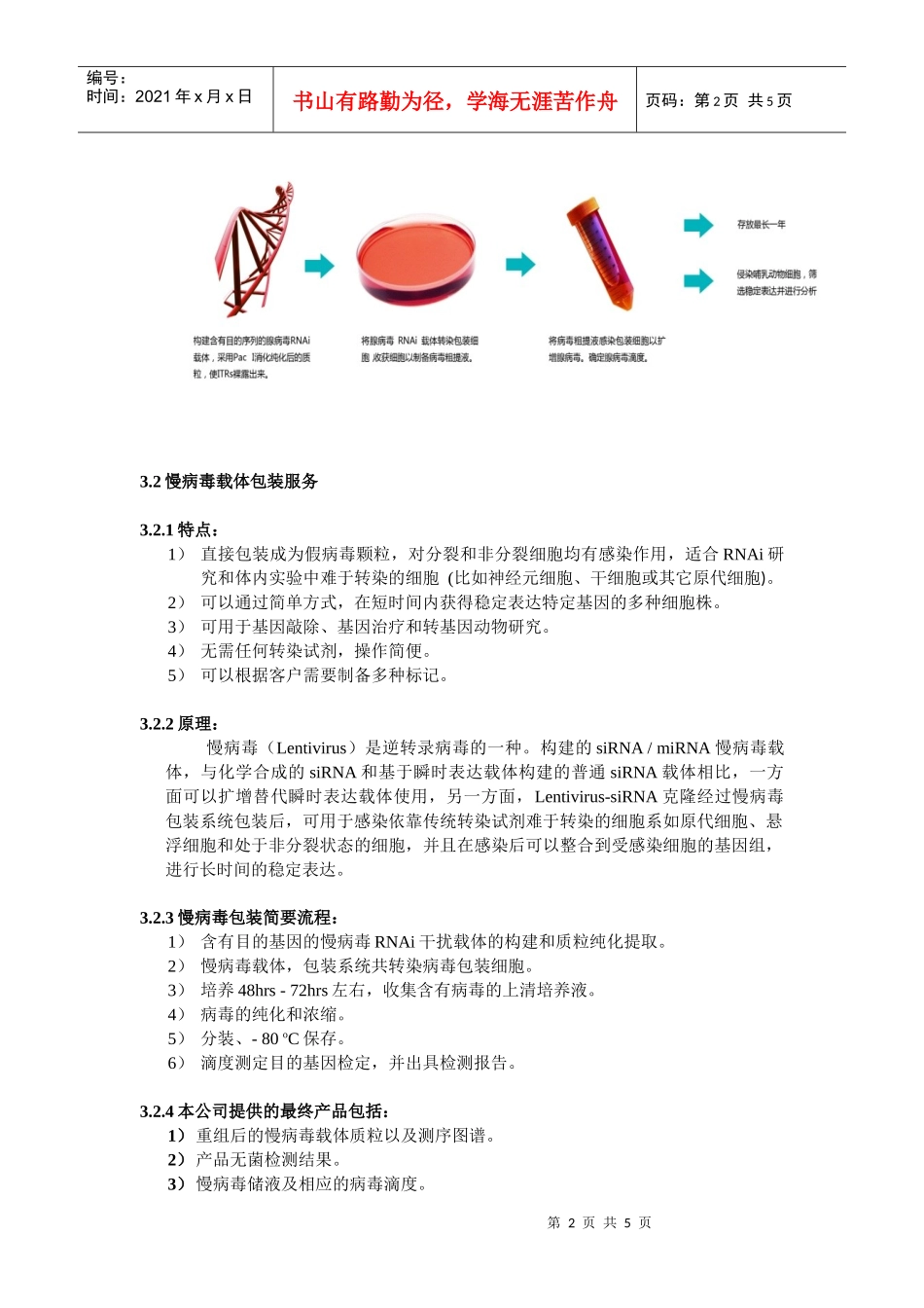 病毒包装相关资料doc-siRNA化学合成_第2页