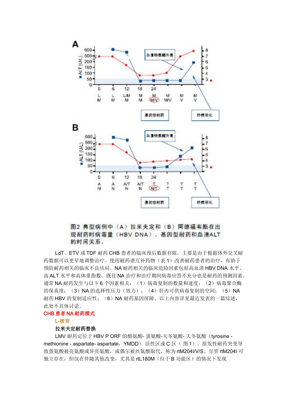 慢性乙型肝炎治疗失败的处理(上)_第3页