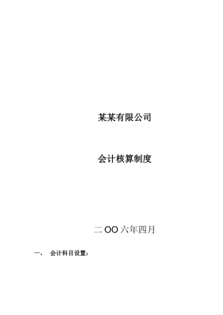某某有限公司会计核算制度