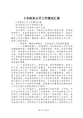 X市政务公开工作情况汇报