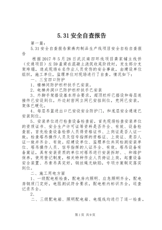 5.31安全自查报告