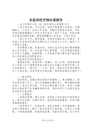 安监局吃空饷自查报告