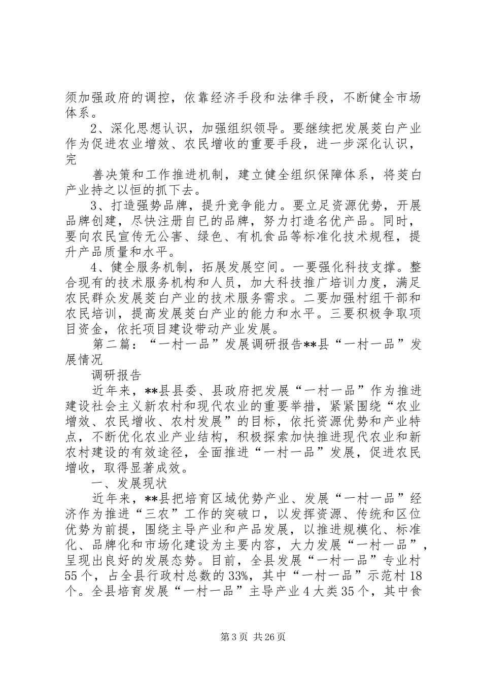 “一村一品”调研报告_第3页