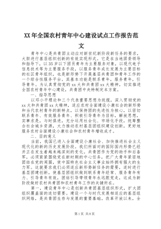 XX年全国农村青年中心建设试点工作报告范文