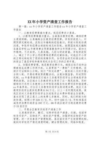 XX年小学资产清查工作报告