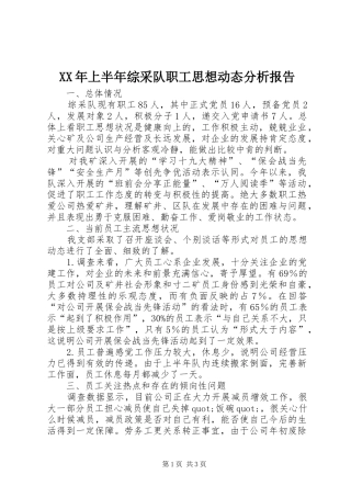 XX年上半年综采队职工思想动态分析报告