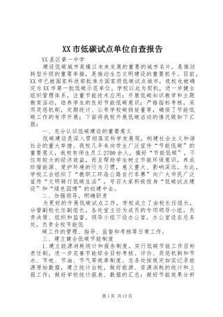XX市低碳试点单位自查报告