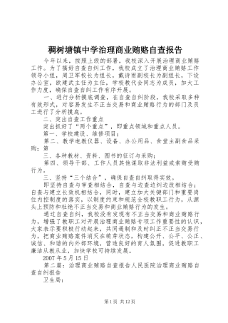 稠树塘镇中学治理商业贿赂自查报告