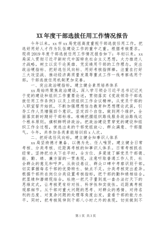 XX年度干部选拔任用工作情况报告