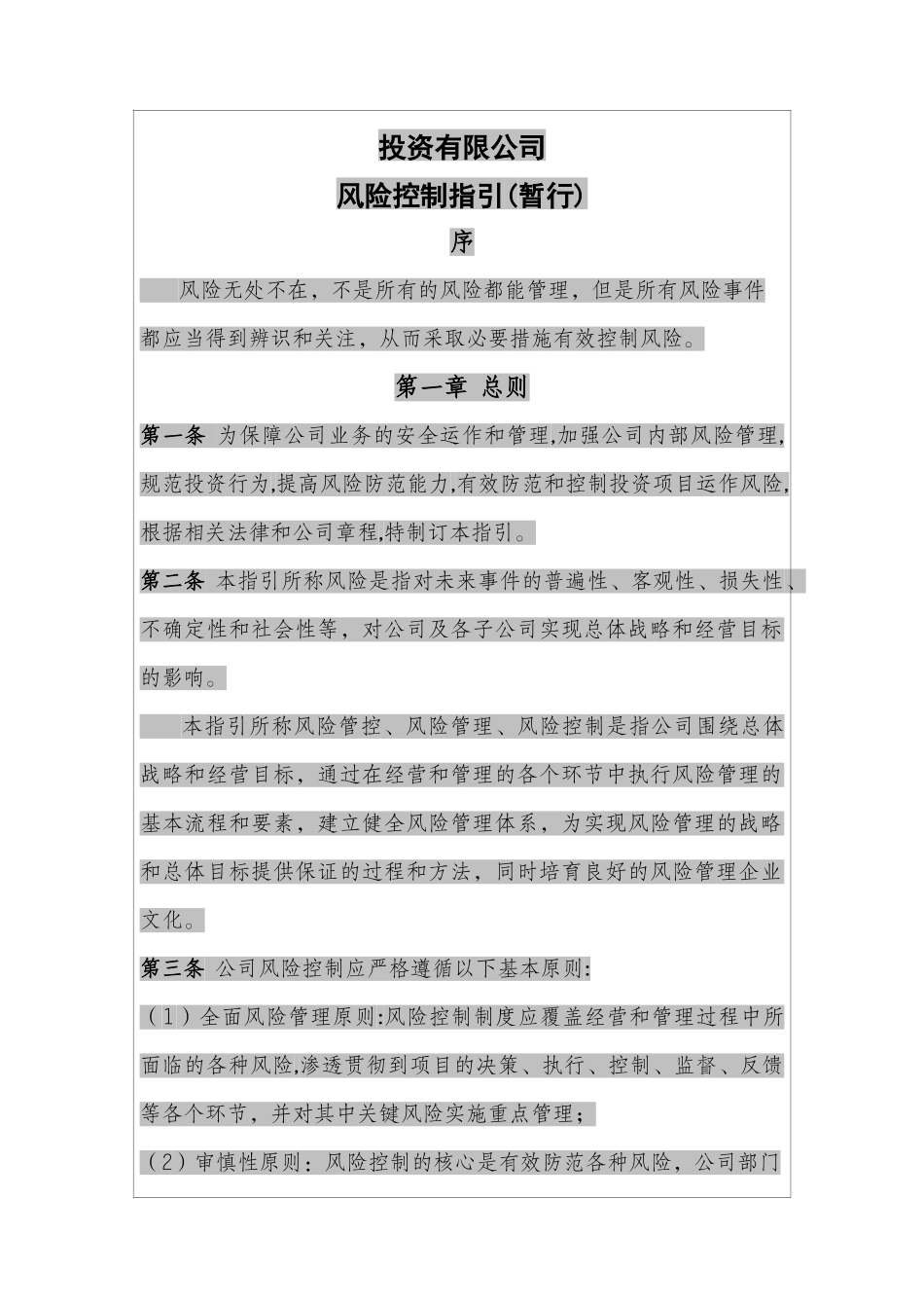某某投资有限公司风险控制指_第1页