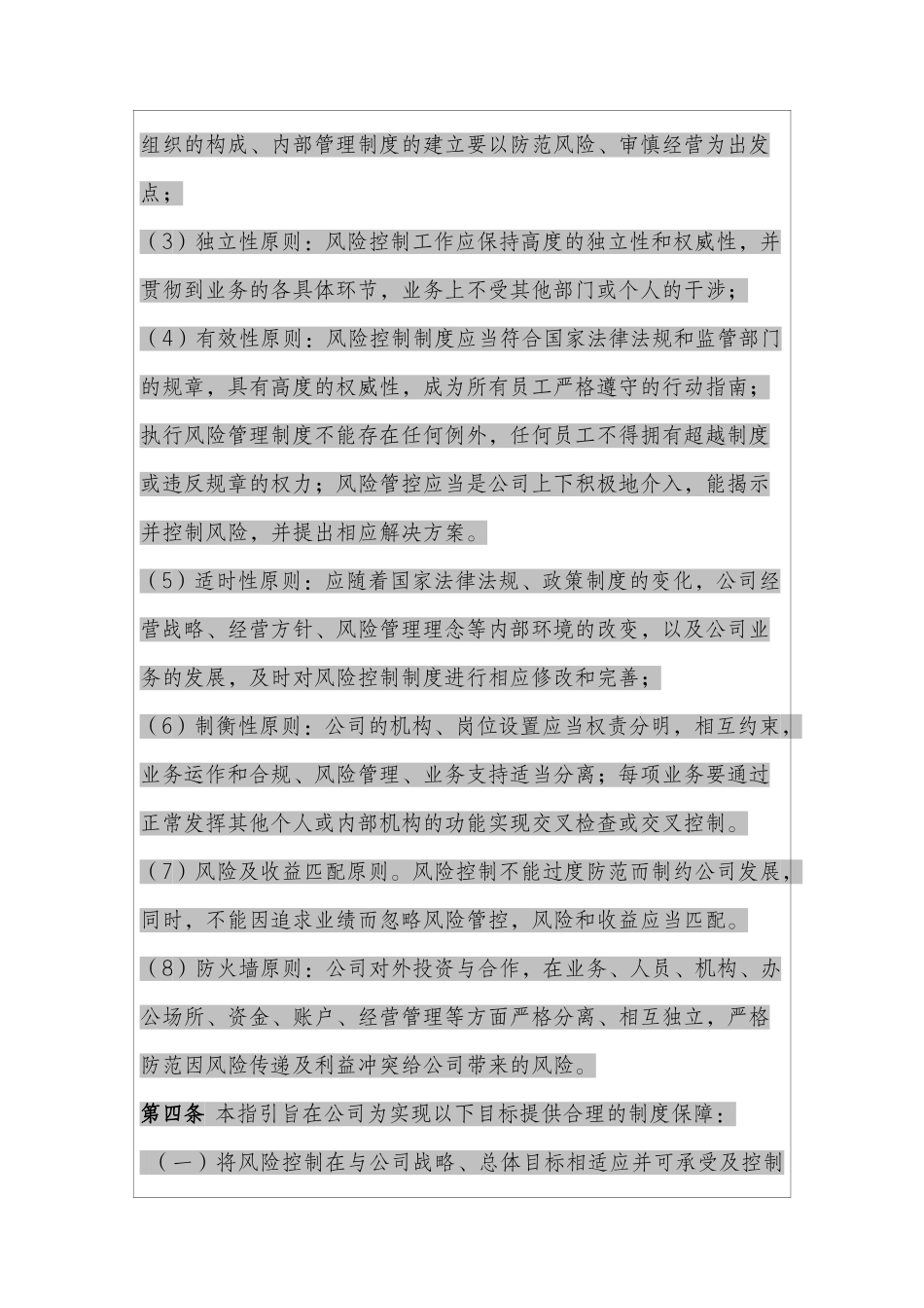 某某投资有限公司风险控制指_第2页