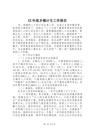 XX年底乡镇计生工作报告