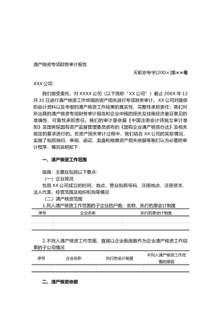 某公司清产核资专项财务审计报告