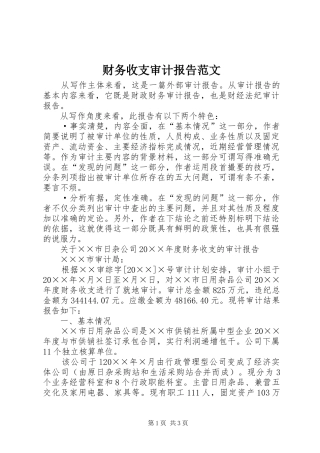 财务收支审计报告范文