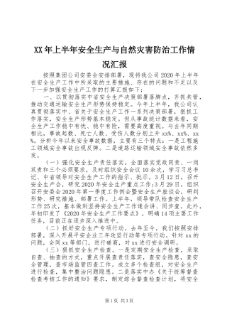 XX年上半年安全生产与自然灾害防治工作情况汇报