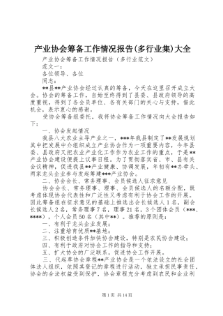 产业协会筹备工作情况报告(多行业集)大全