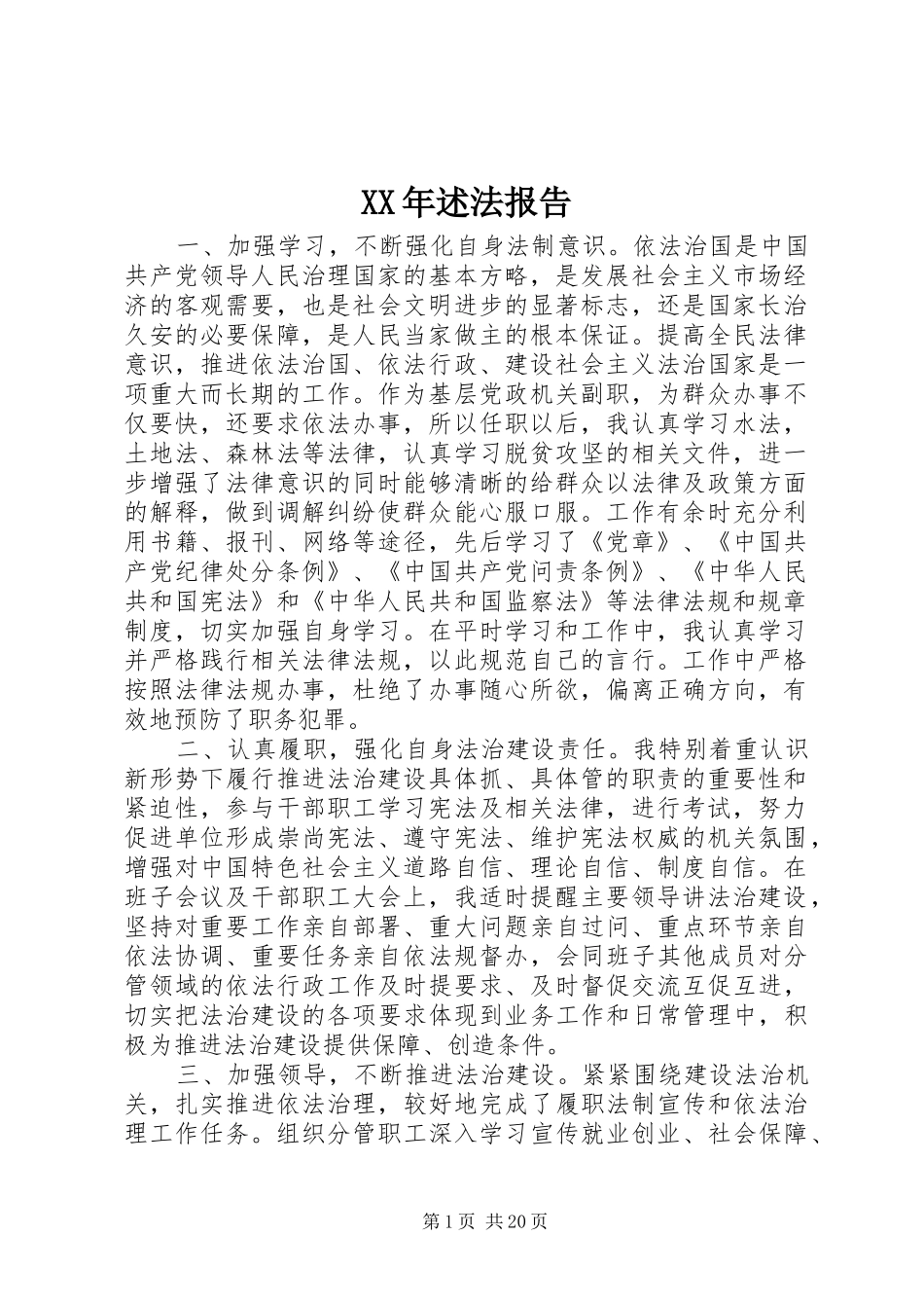 XX年述法报告_第1页
