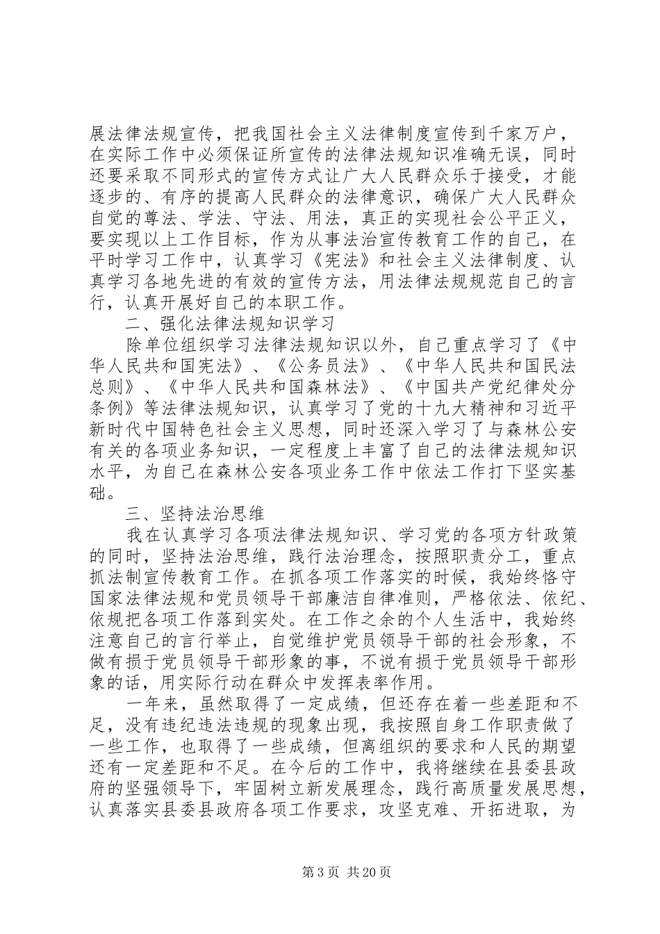 XX年述法报告_第3页