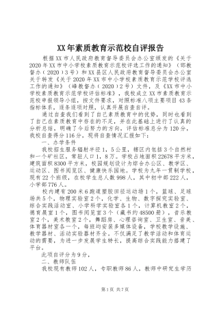 XX年素质教育示范校自评报告