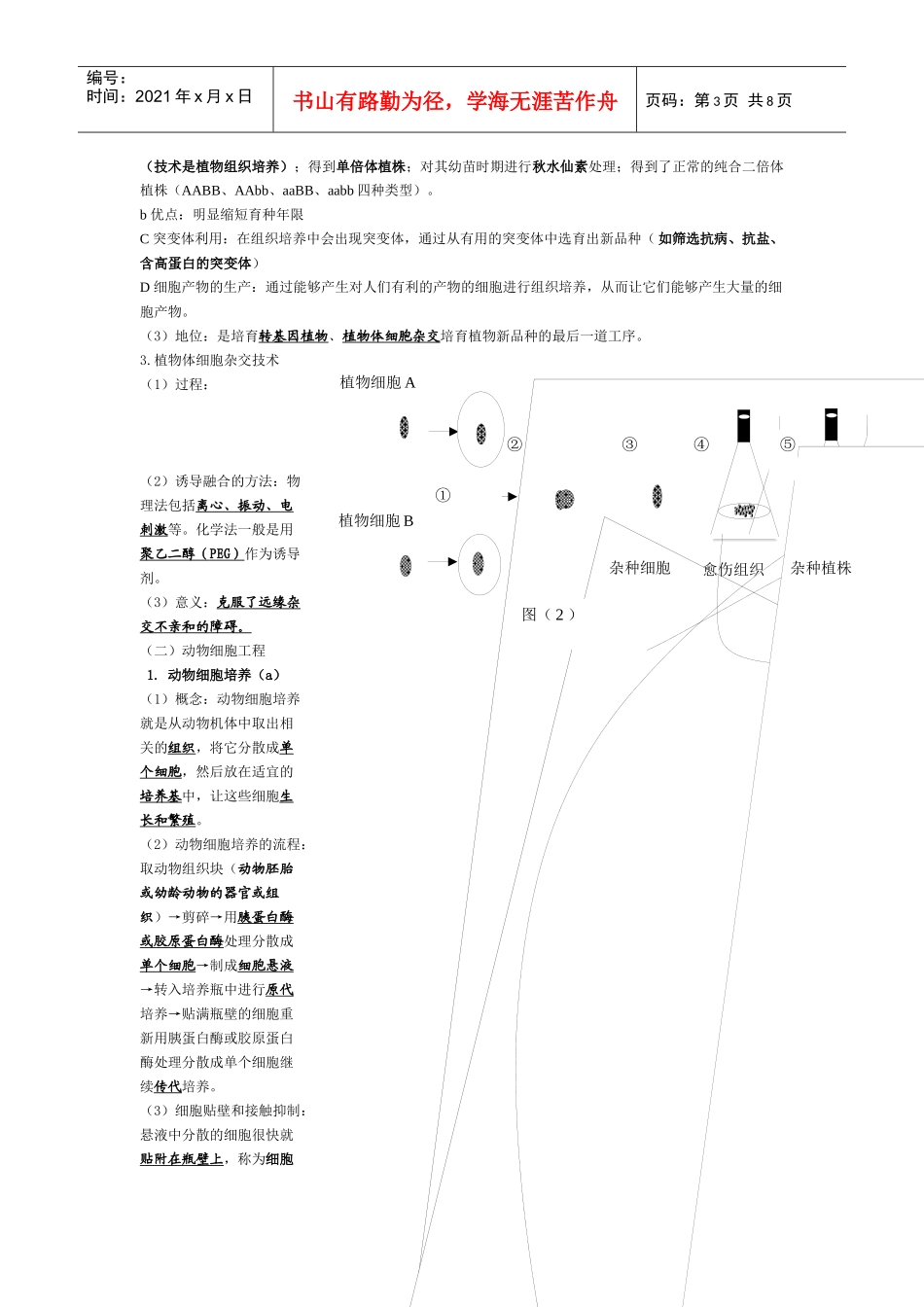 生物：《现代生物科技专题》书本知识点总结学案_第3页