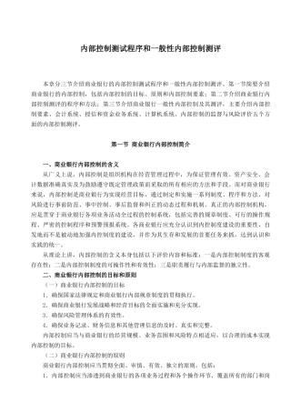 内部控制测试程序和一般性内部控制测评( 28)
