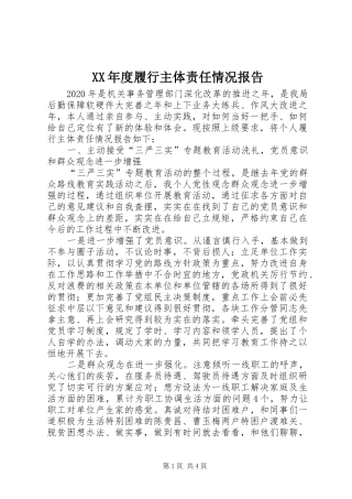 XX年度履行主体责任情况报告