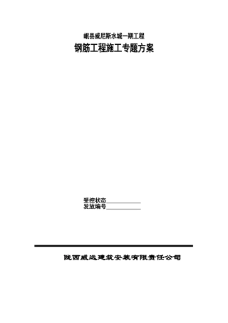 岷县威尼斯水城钢筋工程施工专题方案
